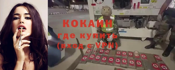 твердый Горняк