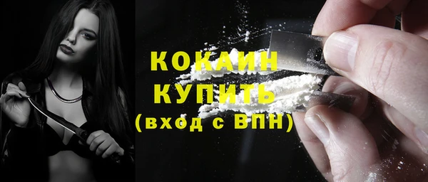 твердый Горняк
