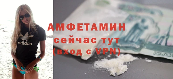 твердый Горняк